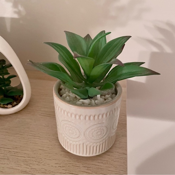 Boho faux suculent Plant - Picture 6 of 6